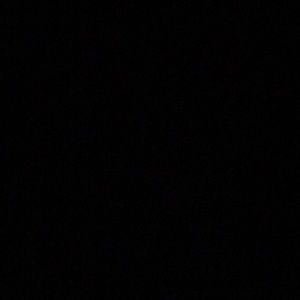 Meet your Posher, Carmen